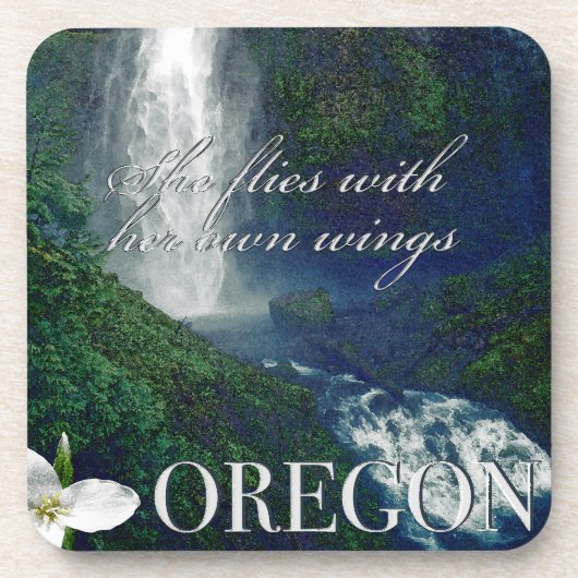 Oregon Waterfall Poster Getränkeuntersetzer (Vorderseite)