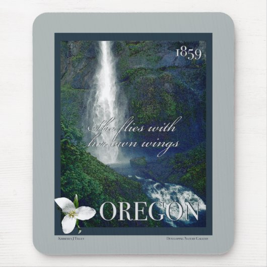 Oregon Waterfall Poster Mousepad (Vorne)