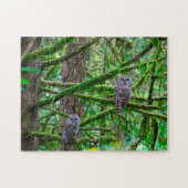 Oregon Wild Owl's Puzzle (Horizontal)