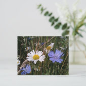 Oregon Wildblumen Postkarte (Stehend Vorderseite)