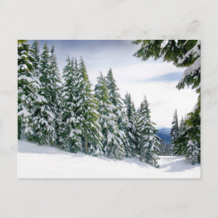 Oregon Winter Postkarte