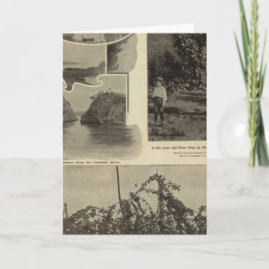 Oregon, wo jede Aussicht gefällt Karte (Vorderseite)