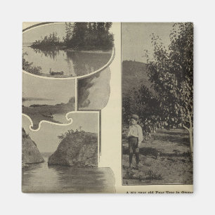 Oregon, wo jede Aussicht gefällt Magnet