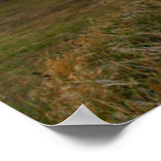 Oregons ältester Leuchtturm am Cape Blanco Staat Poster (Ecke)