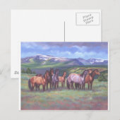 Oregon's Wild Horses Postkarte (Vorne/Hinten)