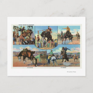OregonScenic Views of Rodeo Bronco Busters Postkarte