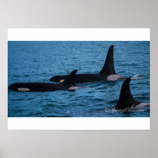 Oreo, Cookie und DoubleStuf Poster