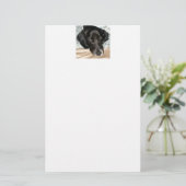 Oreo der englischer Springerspaniel-Hund Briefpapier (Stehend Vorderseite)