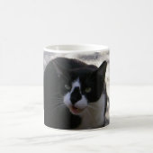 Oreo Katze Kaffeetasse (Mittel)