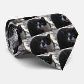 Oreo Katze Krawatte (Gerollt)