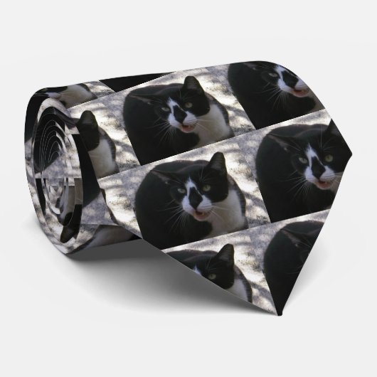 Oreo Katze Krawatte (Gerollt)