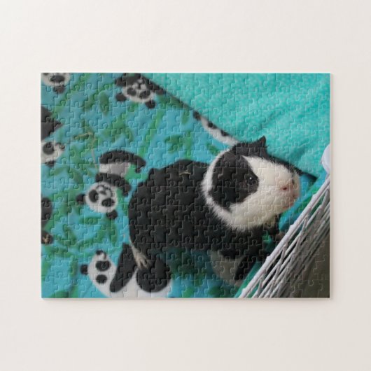 Oreo Puzzle (Horizontal)