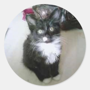 "OREO " RUNDER AUFKLEBER