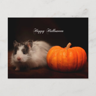 Oreos Halloween Postkarte