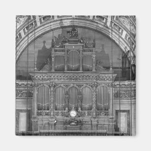 Organ Magnet
