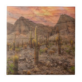 Organ Pipe Cactus On Wood Grain Sunset Photo Fliese (Vorderseite)