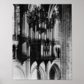 Organ Poster (Vorne)