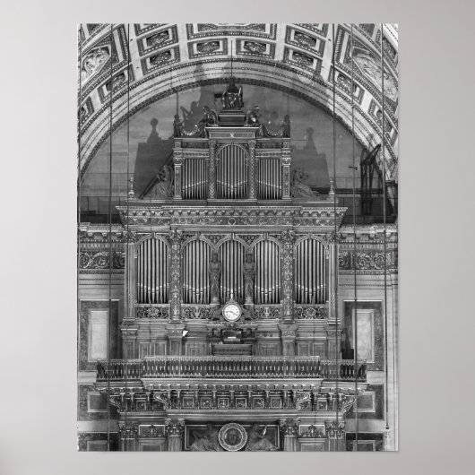 Organ Poster (Vorne)