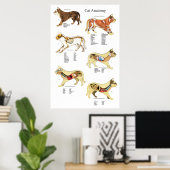 Organanatomie bei Katzen Veterinärdiagramm Poster (Heimbüro)