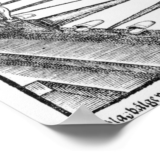 Organbläschen Poster (Ecke)