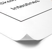 Organdiagramm Poster (Ecke)