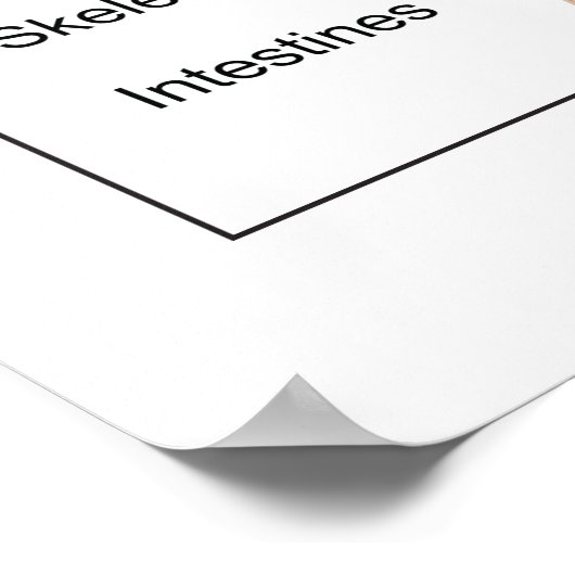 Organdiagramm Poster (Ecke)