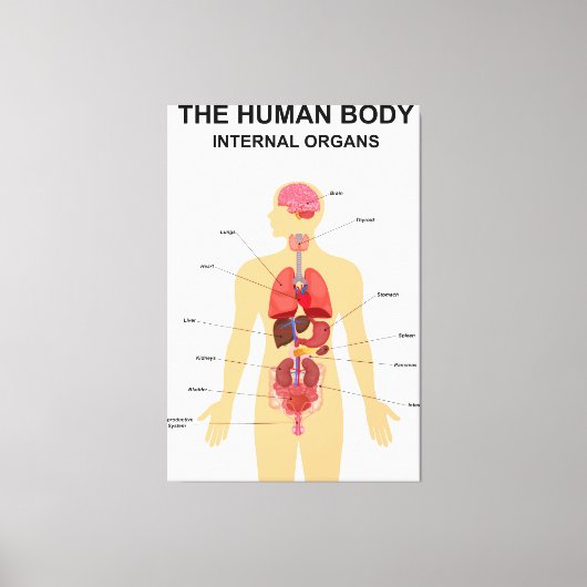 Organe des menschlichen Körpers Leinwanddruck (Vorderseite)