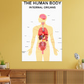 Organe des menschlichen Körpers Leinwanddruck (Insitu (Wohnzimmer))