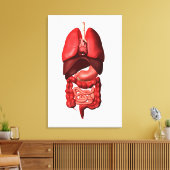 Organe des Respirations- und Verdauungssystems Leinwanddruck (Insitu (Wohnzimmer))