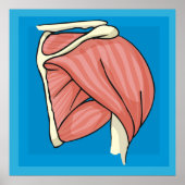 Organentzündung Poster (Vorne)