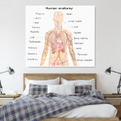 Organinterne Anatomie des menschlichen Körpers Leinwanddruck (Insitu (Schlafzimmer))