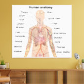 Organinterne Anatomie des menschlichen Körpers Leinwanddruck (Insitu (Wohnzimmer))