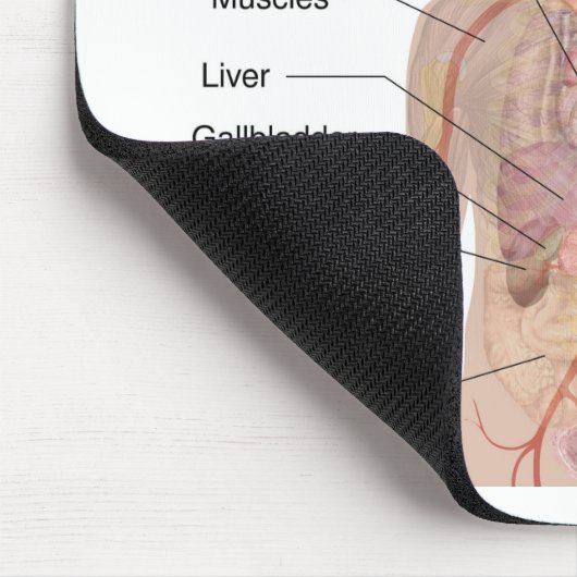 Organinterne Anatomie des menschlichen Körpers Mousepad (Ecke)