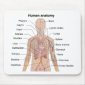 Organinterne Anatomie des menschlichen Körpers Mousepad (Vorne)