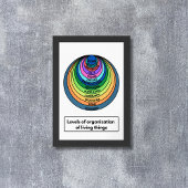 Organisationsgrad lebender Dinge Poster
