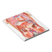 Organisches Torso-Körpermodell Notizblock (angewinkelt)