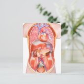 Organisches Torso-Körpermodell Postkarte (Stehend Vorderseite)