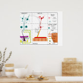 Organization des Nervensystems Poster (Küche)