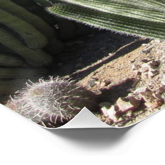 Organpfeife Poster (Ecke)