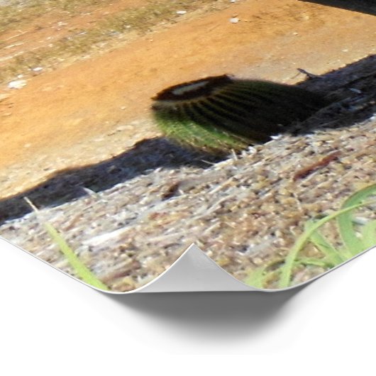 Organpfeife Poster (Ecke)