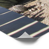 Organpfeife Poster (Ecke)