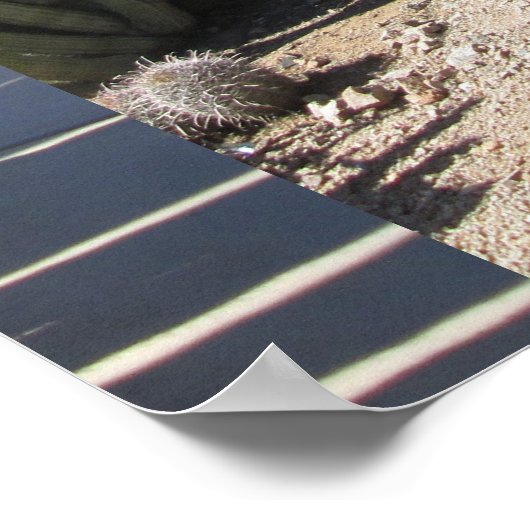 Organpfeife Poster (Ecke)