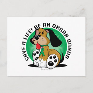 Organspenderhund Postkarte