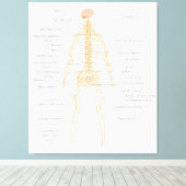 Organsystem des menschlichen Körpers Leinwanddruck (Insitu (Holzboden))