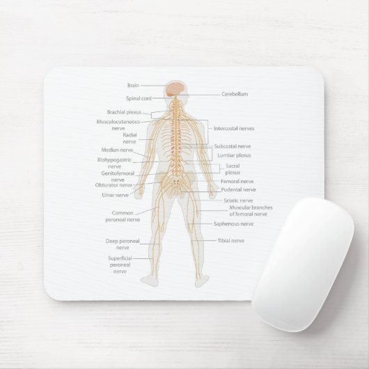 Organsystem des menschlichen Körpers Mousepad (Mit Mouse)