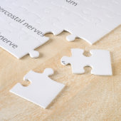 Organsystem des menschlichen Körpers Puzzle (Seite)