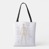 Organsystem des menschlichen Körpers Tasche (Rückseite)