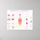 Organsystem Leinwanddruck (Vorderseite)