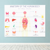 Organsystem Leinwanddruck (Insitu (Holzboden))