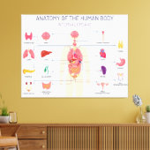 Organsystem Leinwanddruck (Insitu (Wohnzimmer))